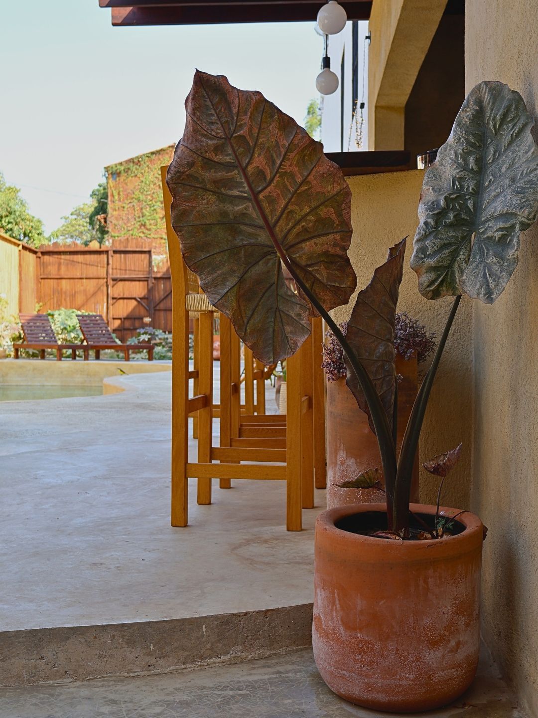 Habitación Queen Balcony